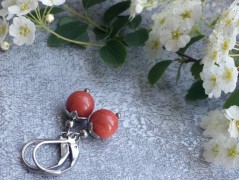 Čtyřlístkové náušnice - S.Steel