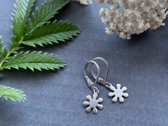 Čtyřlístkové náušnice - S.Steel