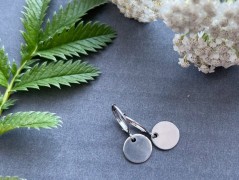 Čtyřlístkové náušnice - S.Steel