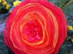 Čtyřlístkové náušnice - S.Steel