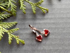 Čtyřlístkové náušnice - S.Steel