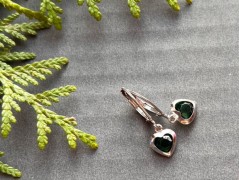 Čtyřlístkové náušnice - S.Steel