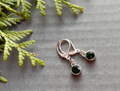 Čtyřlístkové náušnice - S.Steel