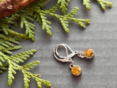 Čtyřlístkové náušnice - S.Steel