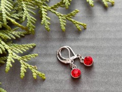 Čtyřlístkové náušnice - S.Steel