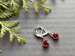 Čtyřlístkové náušnice - S.Steel