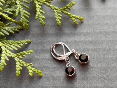 Čtyřlístkové náušnice - S.Steel