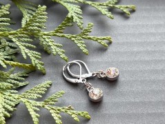 Čtyřlístkové náušnice - S.Steel