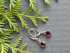 Čtyřlístkové náušnice - S.Steel