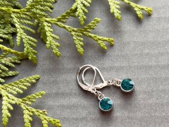 Čtyřlístkové náušnice - S.Steel