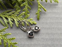 Čtyřlístkové náušnice - S.Steel