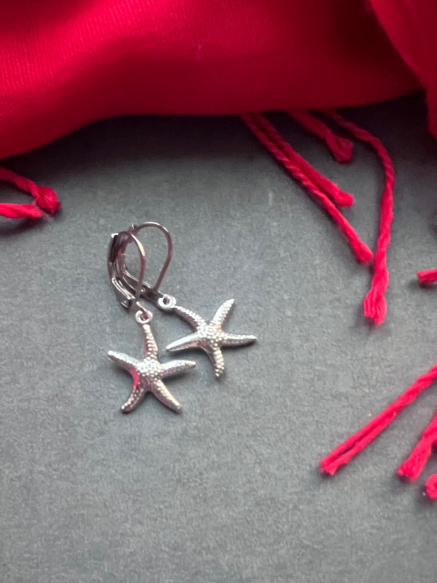 Hvězdicové náušnice - S.Steel moře léto nerez ocel hvězdice 
