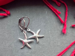 Čtyřlístkové náušnice - S.Steel