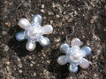 Modré kvítí - náušnice