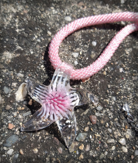 Mořská hvězdice v růžové šperk náhrdelník přívěsek moře doplněk sklo háčkovaná romantika hvězda léto barevný dutinka oceán hvězdice hravý dovolená sladký nápadný pláž cukrový vinuté sklo mořská hvězdice 